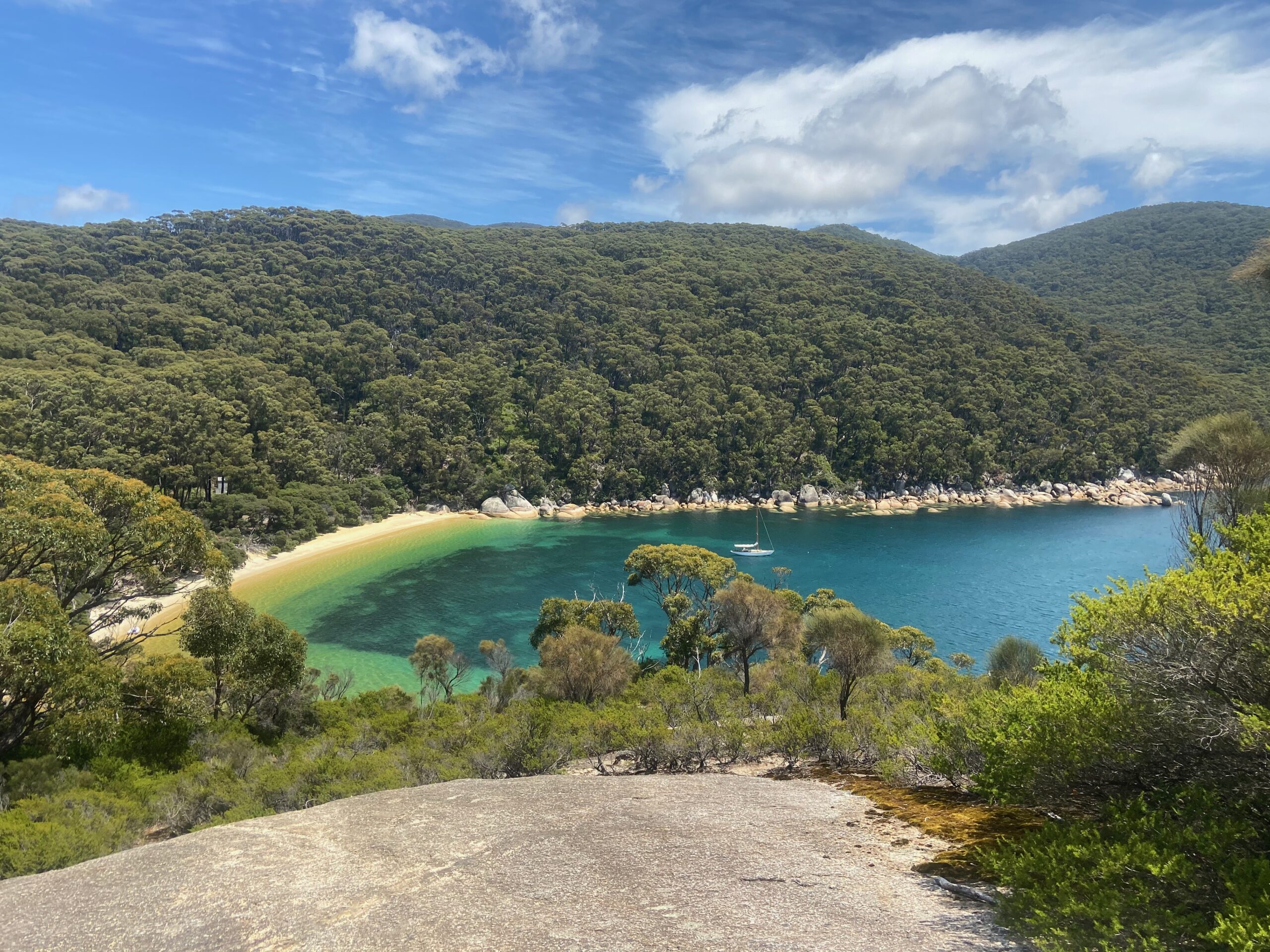 Our Tommy at Refuge Cove, Wilson'd Prom